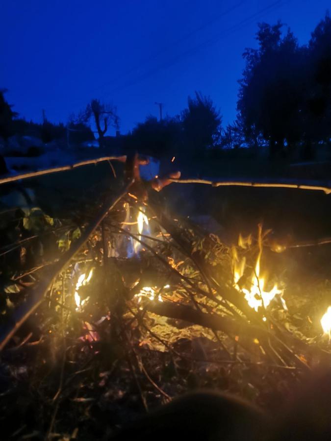 Zielony Zakatek Ciezkowice Exterior foto